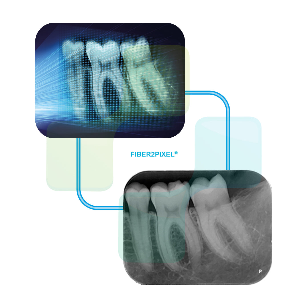 BLACKDOWN DENTAL - Acteon PSPIX2 Plate Scanner